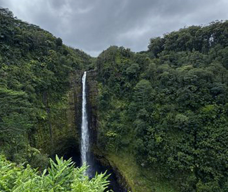 Akaka Falls State Park