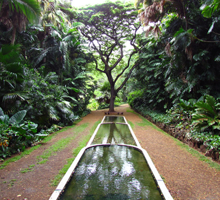 National Tropical Botanical Gardens