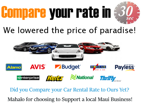 Compare you Hawaii rental car rate